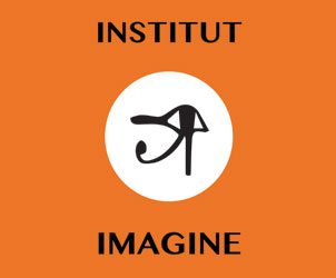 INSTITUT IMAGINE